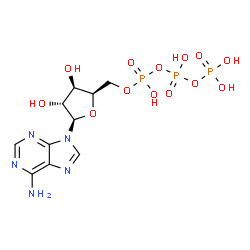 ChemSpider 2D Image | 9-[5-O-(Hydroxy{[hydroxy(phosphonooxy)phosphoryl]oxy}phosphoryl)-beta-D-xylofuranosyl]-9H-purin-6-amine | C10H16N5O13P3