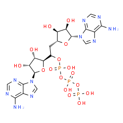 ChemSpider 2D Image | 9-[(6S)-6-C-[(2S,3S,4R,5R)-5-(6-Amino-9H-purin-9-yl)-3,4-dihydroxytetrahydro-2-furanyl]-5-deoxy-6-O-(hydroxy{[hydroxy(phosphonooxy)phosphoryl]oxy}phosphoryl)-beta-D-ribo-hexofuranosyl]-9H-purin-6-amin
e | C20H27N10O16P3