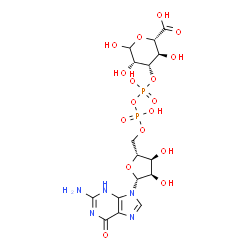 ChemSpider 2D Image | (2S,3R,4S,5S)-4-{[{[{[(2R,3S,4R,5R)-5-(2-Amino-6-oxo-3,6-dihydro-9H-purin-9-yl)-3,4-dihydroxytetrahydro-2-furanyl]methoxy}(hydroxy)phosphoryl]oxy}(hydroxy)phosphoryl]oxy}-3,5,6-trihydroxytetrahydro-2H
-pyran-2-carboxylic acid | C16H23N5O17P2