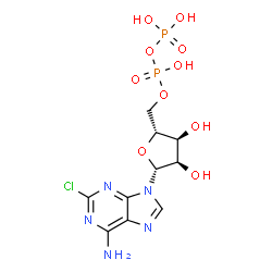 ChemSpider 2D Image | 2-Chloroadenosine 5'-(trihydrogen diphosphate) | C10H14ClN5O10P2