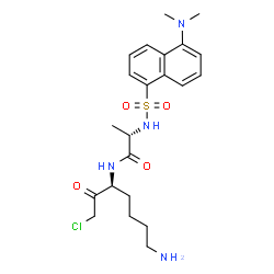 ChemSpider 2D Image | N-[(3S)-7-Amino-1-chloro-2-oxo-3-heptanyl]-N~2~-{[5-(dimethylamino)-1-naphthyl]sulfonyl}-L-alaninamide | C22H31ClN4O4S
