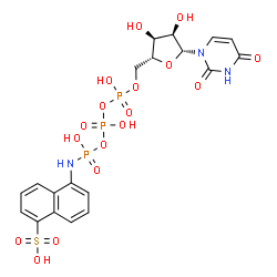 ChemSpider 2D Image | 5'-O-(Hydroxy{[hydroxy({hydroxy[(5-sulfo-1-naphthyl)amino]phosphoryl}oxy)phosphoryl]oxy}phosphoryl)uridine | C19H22N3O17P3S
