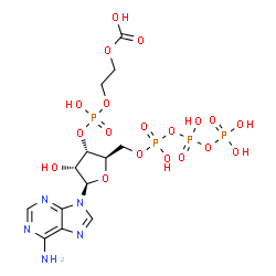 ChemSpider 2D Image | 3'-O-{[2-(Carboxyoxy)ethoxy](hydroxy)phosphoryl}adenosine 5'-(tetrahydrogen triphosphate) | C13H21N5O19P4