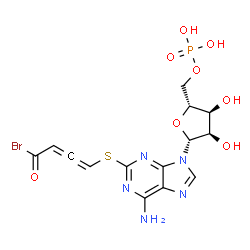 ChemSpider 2D Image | 2-[(4-Bromo-4-oxo-1,2-butadien-1-yl)sulfanyl]adenosine 5'-(dihydrogen phosphate) | C14H15BrN5O8PS