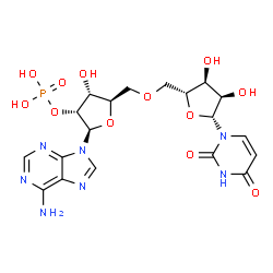 ChemSpider 2D Image | (2R,3R,4R,5R)-2-(6-Amino-9H-purin-9-yl)-5-({[(2R,3S,4R,5R)-5-(2,4-dioxo-3,4-dihydro-1(2H)-pyrimidinyl)-3,4-dihydroxytetrahydro-2-furanyl]methoxy}methyl)-4-hydroxytetrahydro-3-furanyl dihydrogen phosph
ate | C19H24N7O12P