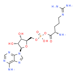 ChemSpider 2D Image | 5'-O-[({(2S)-2-Amino-5-[(diaminomethylene)amino]pentanoyl}oxy)(hydroxy)phosphoryl]adenosine | C16H26N9O8P