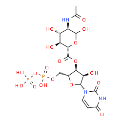 ChemSpider 2D Image | (2R,3S,4R,5R)-5-(2,4-Dioxo-3,4-dihydro-1(2H)-pyrimidinyl)-4-hydroxy-2-({[hydroxy(phosphonooxy)phosphoryl]oxy}methyl)tetrahydro-3-furanyl (2S,3S,4R,5R)-5-acetamido-3,4,6-trihydroxytetrahydro-2H-pyran-2
-carboxylate | C17H25N3O18P2
