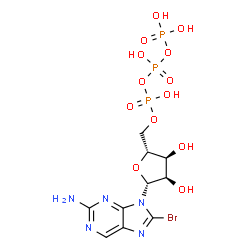 ChemSpider 2D Image | 8-Bromo-9-[5-O-(hydroxy{[hydroxy(phosphonooxy)phosphoryl]oxy}phosphoryl)-beta-D-ribofuranosyl]-9H-purin-2-amine | C10H15BrN5O13P3