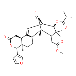 ChemSpider 2D Image | (1S,2S,5R,6R,10S,13R,14R,16S)-6-(3-Furyl)-16-(2-methoxy-2-oxoethyl)-1,5,15,15-tetramethyl-8,17-dioxo-7-oxatetracyclo[11.3.1.0~2,11~.0~5,10~]heptadec-11-en-14-yl 2-methylpropanoate | C31H40O8