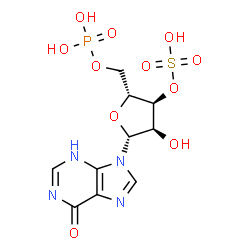 ChemSpider 2D Image | 3'-O-Sulfoinosine 5'-(dihydrogen phosphate) | C10H13N4O11PS