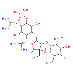 ChemSpider 2D Image | 3-({5-Deoxy-2-O-[2-deoxy-2-(methylamino)hexopyranosyl]-3-C-(hydroxymethyl)pentofuranosyl}oxy)-4,6-bis[(diaminomethylene)amino]-2,5-dihydroxycyclohexyl dihydrogen phosphate | C21H42N7O15P
