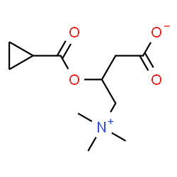ChemSpider 2D Image | 3-[(Cyclopropylcarbonyl)oxy]-4-(trimethylammonio)butanoate | C11H19NO4