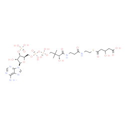 ChemSpider 2D Image | (9R)-1-[(2R,3S,4R,5R)-5-(6-Amino-9H-purin-9-yl)-4-hydroxy-3-(phosphonooxy)tetrahydro-2-furanyl]-3,5,9,21-tetrahydroxy-8,8-dimethyl-10,14,19-trioxo-2,4,6-trioxa-18-thia-11,15-diaza-3,5-diphosphatricosa
n-23-oic acid 3,5-dioxide | C26H42N7O20P3S