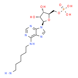 ChemSpider 2D Image | N-(6-Aminohexyl)adenosine 5'-(dihydrogen phosphate) | C16H27N6O7P
