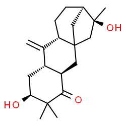 ChemSpider 2D Image | (3R,6S,8S,10R,13R,14S)-6,14-Dihydroxy-5,5,14-trimethyl-9-methylenetetracyclo[11.2.1.0~1,10~.0~3,8~]hexadecan-4-one | C20H30O3