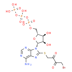 ChemSpider 2D Image | 8-[(4-Bromo-2,3-dioxobutyl)sulfanyl]adenosine 5'-(tetrahydrogen triphosphate) | C14H19BrN5O15P3S