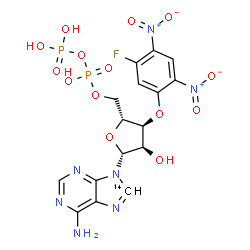 ChemSpider 2D Image | 3'-O-(5-Fluoro-2,4-dinitrophenyl)(8-~14~C)adenosine 5'-(trihydrogen diphosphate) | C16H16FN7O14P2