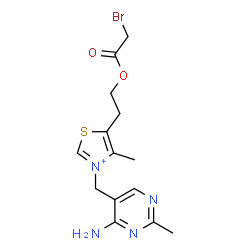 ChemSpider 2D Image | 3-[(4-Amino-2-methyl-5-pyrimidinyl)methyl]-5-[2-(2-bromoacetoxy)ethyl]-4-methyl-1,3-thiazol-3-ium | C14H18BrN4O2S