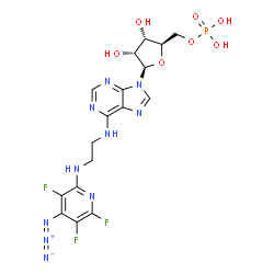 ChemSpider 2D Image | N-{2-[(4-Azido-3,5,6-trifluoro-2-pyridinyl)amino]ethyl}adenosine 5'-(dihydrogen phosphate) | C17H19F3N10O7P