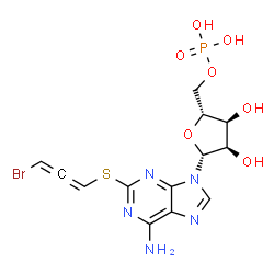 ChemSpider 2D Image | 2-[(3-Bromopropadienyl)sulfanyl]adenosine 5'-(dihydrogen phosphate) | C13H15BrN5O7PS