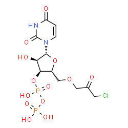 ChemSpider 2D Image | 5'-O-(3-Chloro-2-oxopropyl)uridine 3'-(trihydrogen diphosphate) | C12H17ClN2O13P2