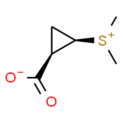 ChemSpider 2D Image | gonyauline | C6H10O2S
