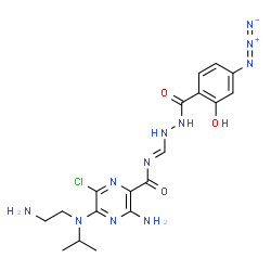 ChemSpider 2D Image | 3-Amino-5-[(2-aminoethyl)(isopropyl)amino]-N-{(E)-[2-(4-azido-2-hydroxybenzoyl)hydrazino]methylene}-6-chloro-2-pyrazinecarboxamide | C18H23ClN11O3