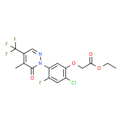 ChemSpider 2D Image | flufenpyr-ethyl | C16H13ClF4N2O4