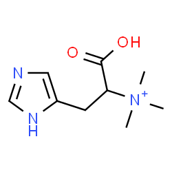 ChemSpider 2D Image | 1-Carboxy-2-(1H-imidazol-5-yl)-N,N,N-trimethylethanaminium | C9H16N3O2