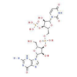 ChemSpider 2D Image | (2R,3S,4R,5R)-2-({[{[(2R,3S,4R,5R)-5-(2-Amino-6-oxo-3,6-dihydro-9H-purin-9-yl)-4-hydroxy-2-(hydroxymethyl)tetrahydro-3-furanyl]oxy}(hydroxy)phosphoryl]oxy}methyl)-5-(2,4-dioxo-3,4-dihydro-1(2H)-pyrimi
dinyl)-4-hydroxytetrahydro-3-furanyl dihydrogen phosphate | C19H25N7O16P2