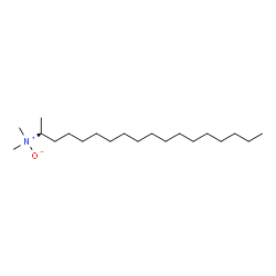 ChemSpider 2D Image | Dimethyl[(2R)-2-octadecanyl]amine oxide | C20H43NO