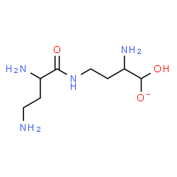 ChemSpider 2D Image | 2-Amino-4-[(2,4-diaminobutanoyl)amino]-1-hydroxy-1-butanolate | C8H19N4O3