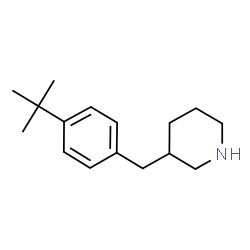 ChemSpider 2D Image | 3-[4-(2-Methyl-2-propanyl)benzyl]piperidine | C16H25N