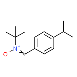 ChemSpider 2D Image | N-tert-Butyl-N-(4-isopropylbenzylidene)amine oxide | C14H21NO