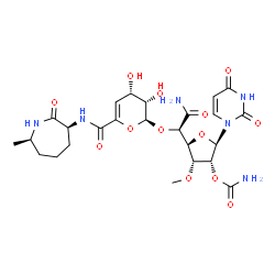 ChemSpider 2D Image | (2R,3R,4R,5S)-5-[(1R)-2-Amino-1-{[(2S,3S,4S)-3,4-dihydroxy-6-{[(3S,7R)-7-methyl-2-oxo-3-azepanyl]carbamoyl}-3,4-dihydro-2H-pyran-2-yl]oxy}-2-oxoethyl]-2-(2,4-dioxo-3,4-dihydro-1(2H)-pyrimidinyl)-4-met
hoxytetrahydro-3-furanyl carbamate | C25H34N6O13