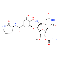 ChemSpider 2D Image | (2R,3R,4R,5S)-5-[(1R)-2-Amino-1-{[(2S,3S,4S)-3,4-dihydroxy-6-{[(3S)-2-oxo-3-azepanyl]carbamoyl}-3,4-dihydro-2H-pyran-2-yl]oxy}-2-oxoethyl]-2-(2,4-dioxo-3,4-dihydro-1(2H)-pyrimidinyl)-4-methoxytetrahyd
ro-3-furanyl carbamate | C24H32N6O13