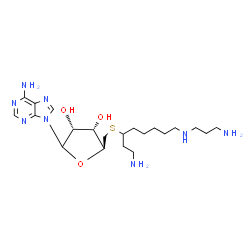 ChemSpider 2D Image | 5'-S-{1-Amino-8-[(3-aminopropyl)amino]-3-octanyl}-5'-thioadenosine | C21H38N8O3S