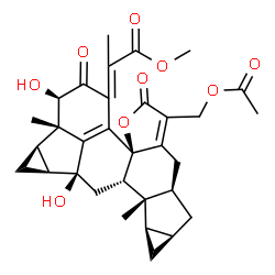 ChemSpider 2D Image | Methyl 2-[(1aR,1bS,2R,4bR,8aR,9aR,10aR,10bR,10cS,11aS,11bS)-7-(acetoxymethyl)-2,11a-dihydroxy-1b,10b-dimethyl-3,6-dioxo-1a,1b,2,3,6,8,8a,9,9a,10,10a,10b,10c,11,11a,11b-hexadecahydrocyclopropa[4,5]cycl
opropa[4',5']cyclopenta[1',2':7,8]acephenanthryleno[10a,10-b]furan-4(1H)-ylidene]propanoate | C32H36O9