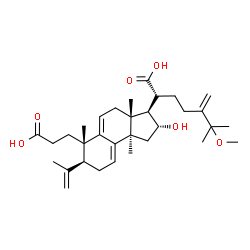 ChemSpider 2D Image | (2R)-2-[(2R,3R,3aR,6S,7S,9bR)-6-(2-Carboxyethyl)-2-hydroxy-7-isopropenyl-3a,6,9b-trimethyl-2,3,3a,4,6,7,8,9b-octahydro-1H-cyclopenta[a]naphthalen-3-yl]-6-methoxy-6-methyl-5-methyleneheptanoic acid | C32H48O6