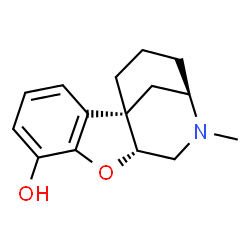 ChemSpider 2D Image | (1S,9R,12R)-11-Methyl-8-oxa-11-azatetracyclo[10.3.1.0~1,9~.0~2,7~]hexadeca-2,4,6-trien-6-ol | C15H19NO2