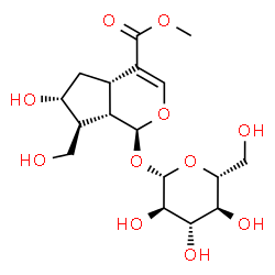 ChemSpider 2D Image | Methyl (1S,4aS,6R,7S,7aS)-1-(beta-D-glucopyranosyloxy)-6-hydroxy-7-(hydroxymethyl)-1,4a,5,6,7,7a-hexahydrocyclopenta[c]pyran-4-carboxylate | C17H26O11