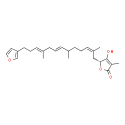 ChemSpider 2D Image | (5R)-5-[(2Z,7E,10E)-13-(3-Furyl)-2,6,10-trimethyl-2,7,10-tridecatrien-1-yl]-4-hydroxy-3-methyl-2(5H)-furanone | C25H34O4