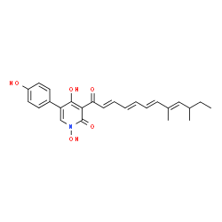 ChemSpider 2D Image | 3-[(2E,4E,6E,8E)-8,10-Dimethyl-2,4,6,8-dodecatetraenoyl]-1,4-dihydroxy-5-(4-hydroxyphenyl)-2(1H)-pyridinone | C25H27NO5