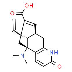ChemSpider 2D Image | (1R,9R,13R)-1-(Dimethylamino)-5-oxo-13-vinyl-6-azatricyclo[7.3.1.0~2,7~]trideca-2(7),3,10-triene-11-carboxylic acid | C17H20N2O3