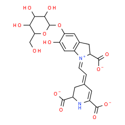 ChemSpider 2D Image | (4E)-4-{(2E)-2-[2-Carboxylato-5-(hexopyranosyloxy)-6-hydroxy-2,3-dihydro-1H-indolium-1-ylidene]ethylidene}-1,2,3,4-tetrahydro-2,6-pyridinedicarboxylate | C24H24N2O13