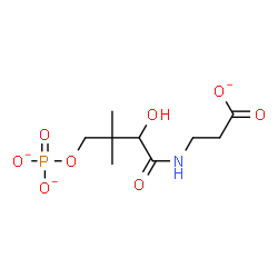 ChemSpider 2D Image | 3-{[2-Hydroxy-3,3-dimethyl-4-(phosphonatooxy)butanoyl]amino}propanoate | C9H15NO8P