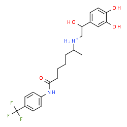 ChemSpider 2D Image | N-[2-(3,4-Dihydroxyphenyl)-2-hydroxyethyl]-7-oxo-7-{[4-(trifluoromethyl)phenyl]amino}-2-heptanaminium | C22H28F3N2O4