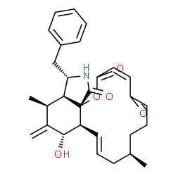ChemSpider 2D Image | (3Z,9R,11E,12aS,13S,15S,15aS,16S,18aS)-16-Benzyl-13-hydroxy-9,15-dimethyl-14-methylene-6,7,8,9,10,12a,13,14,15,15a,16,17-dodecahydro-2H-oxacyclotetradecino[2,3-d]isoindole-2,5,18-trione | C29H35NO5