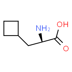 ChemSpider 2D Image | 3-Cyclobutylalanine | C7H13NO2