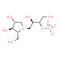 ChemSpider 2D Image | (2S,3S)-4-[(2R,3S,4S)-3,4-Dihydroxy-2-(hydroxymethyl)tetrahydro-1-thiopheniumyl]-1,3-dihydroxy-2-butanyl sulfate | C9H18O9S2